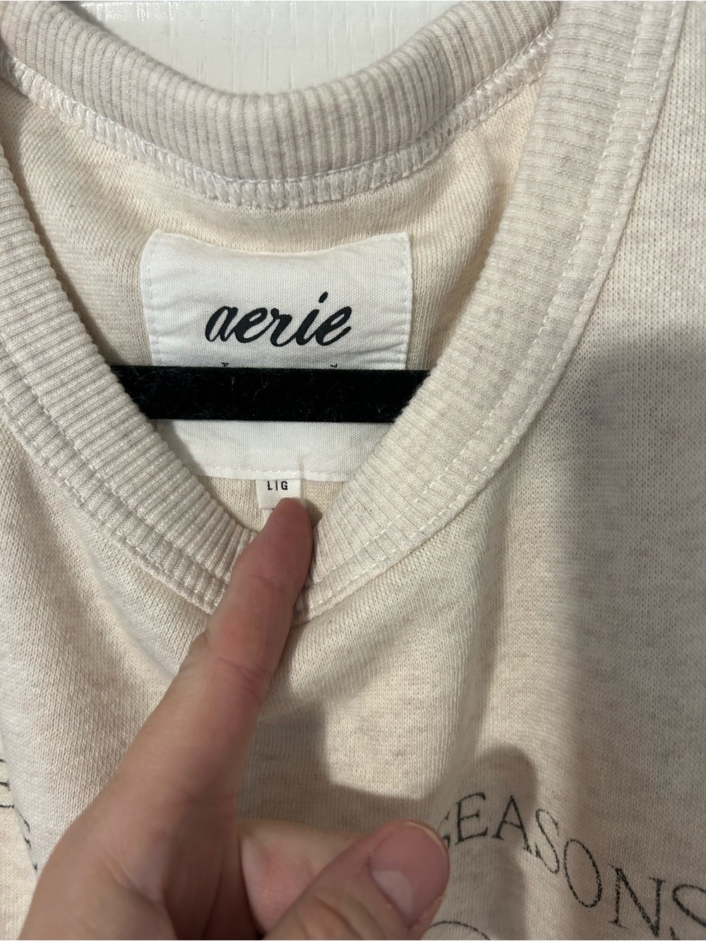 aerie Halloween Cream Graphic Sweatshirt - 'There Are Four Seasons' - Picture 3 of 4